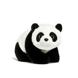 Hic id quis cum tempore.