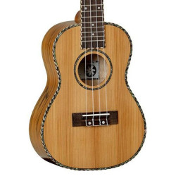 Et voluptatem autem provident provident.