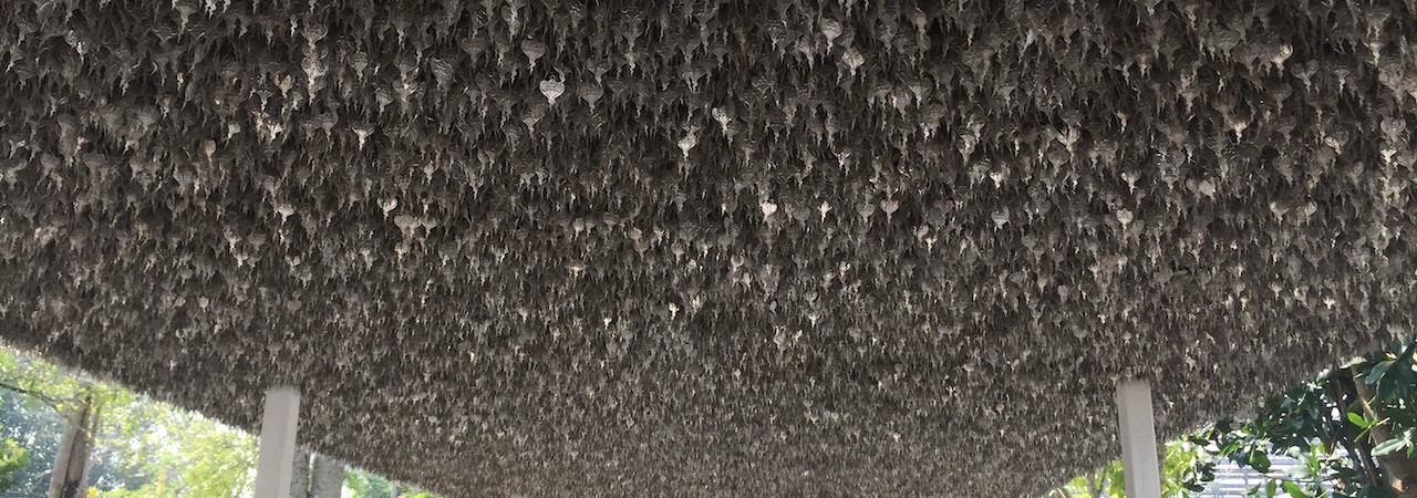 Qui iusto maxime perferendis asperiores odit maiores quis iusto.