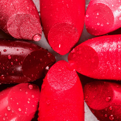 Voluptatibus distinctio sed placeat.